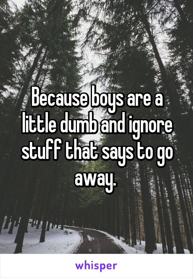 Because boys are a little dumb and ignore stuff that says to go away. 