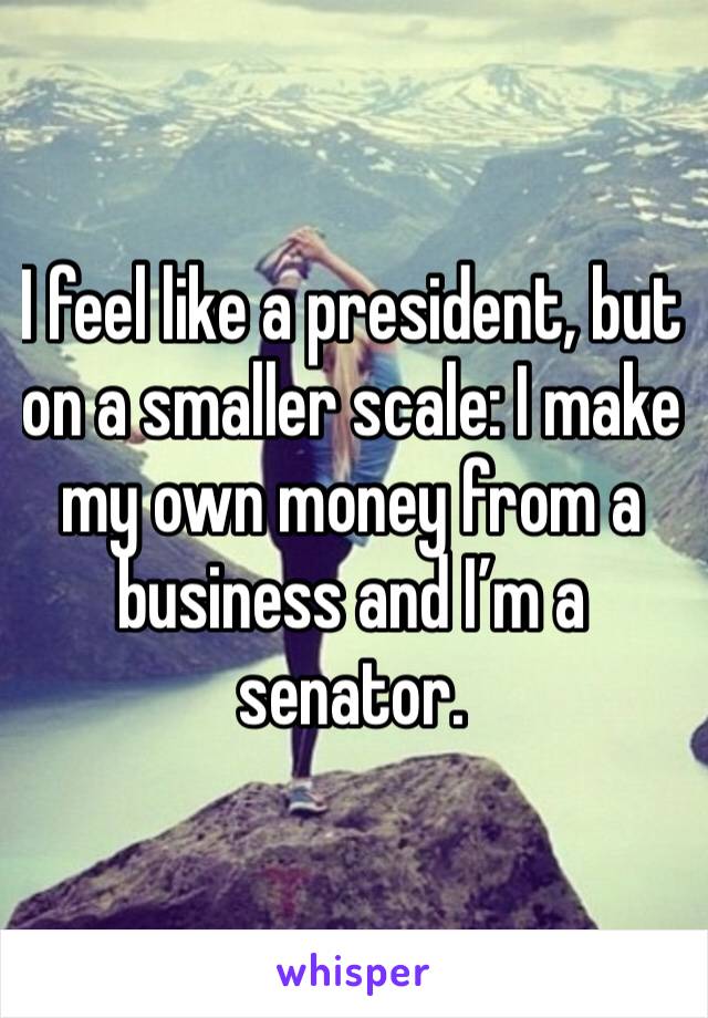 I feel like a president, but on a smaller scale: I make my own money from a business and I’m a senator.