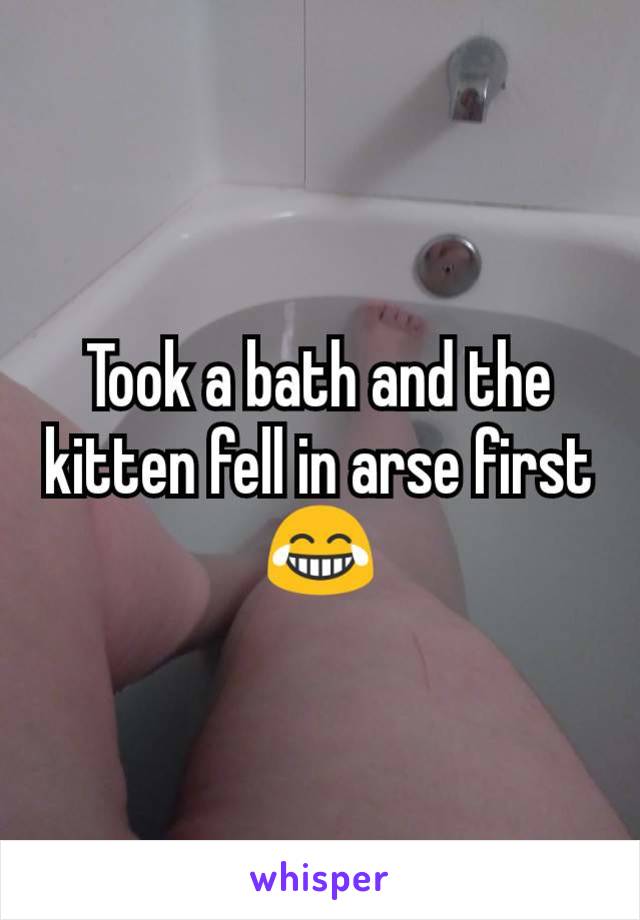 Took a bath and the kitten fell in arse first 😂