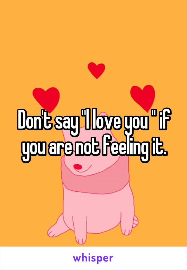 Don't say "l love you " if you are not feeling it.