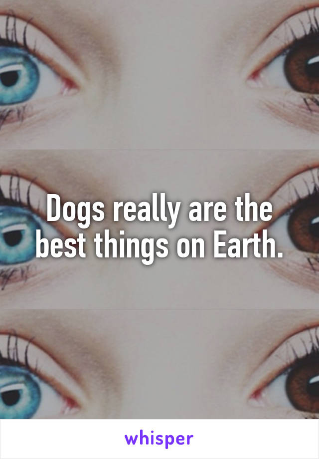 Dogs really are the best things on Earth.