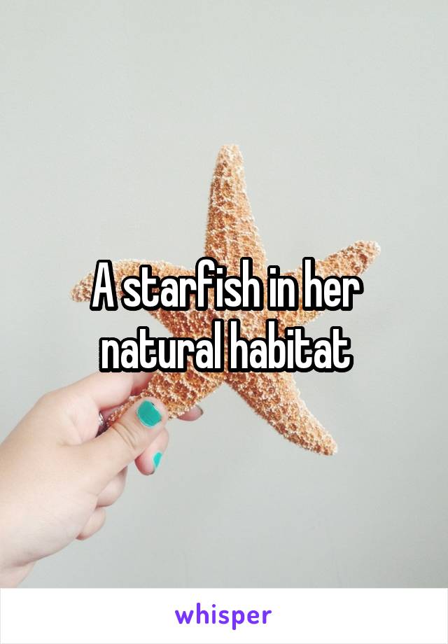 A starfish in her natural habitat