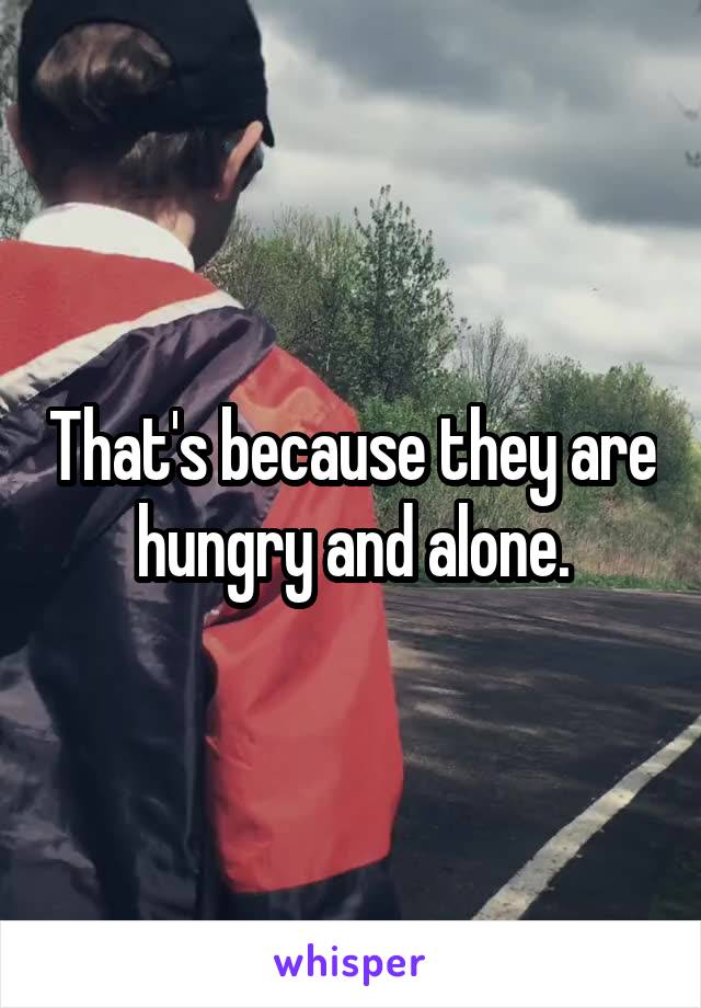 That's because they are hungry and alone.