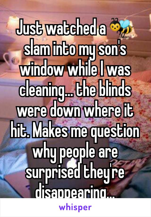 Just watched a 🐝 slam into my son's window while I was cleaning... the blinds were down where it hit. Makes me question why people are surprised they're disappearing...