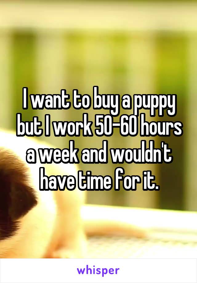 I want to buy a puppy but I work 50-60 hours a week and wouldn't have time for it.