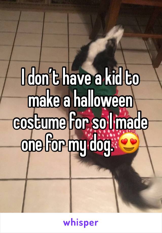 I don’t have a kid to make a halloween costume for so I made one for my dog. 😍