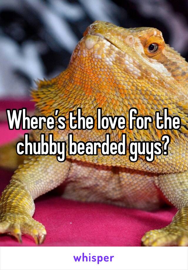 Where’s the love for the chubby bearded guys?