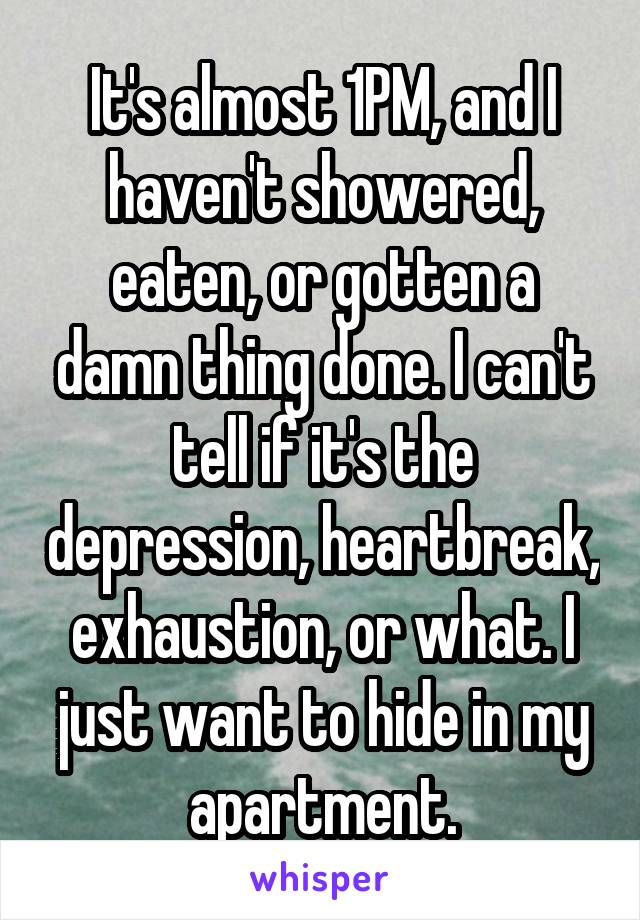 It's almost 1PM, and I haven't showered, eaten, or gotten a damn thing done. I can't tell if it's the depression, heartbreak, exhaustion, or what. I just want to hide in my apartment.