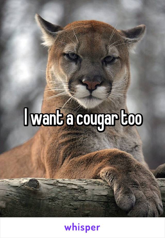 I want a cougar too