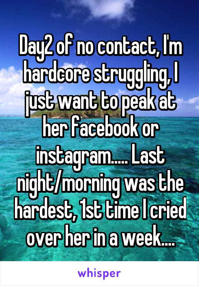 Day2 of no contact, I'm hardcore struggling, I just want to peak at her facebook or instagram..... Last night/morning was the hardest, 1st time I cried over her in a week....