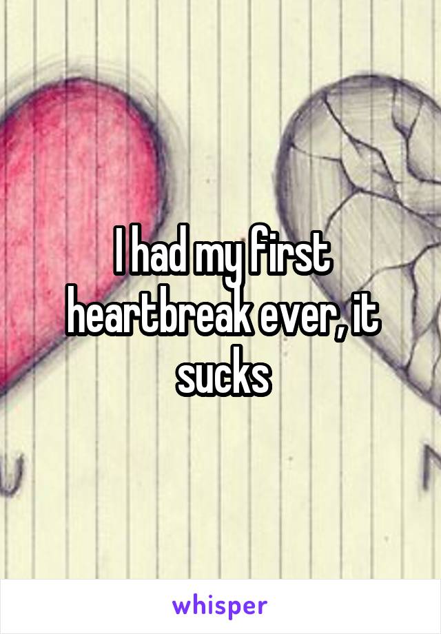 I had my first heartbreak ever, it sucks