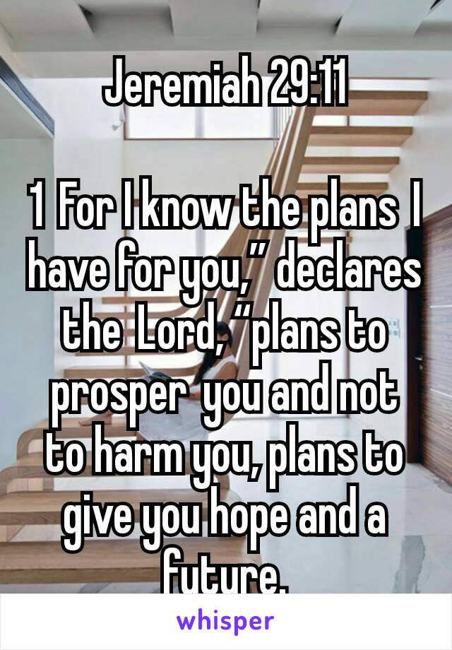Jeremiah 29:11

1 For I know the plans I have for you,” declares the Lord, “plans to prosper you and not to harm you, plans to give you hope and a future.