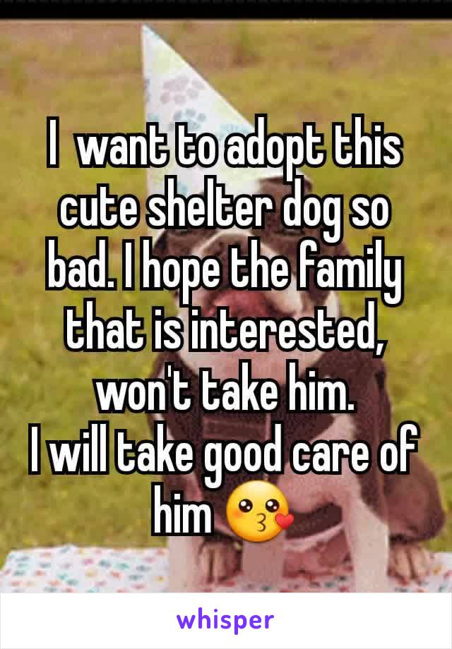 I  want to adopt this cute shelter dog so bad. I hope the family that is interested, won't take him.
I will take good care of him 😗