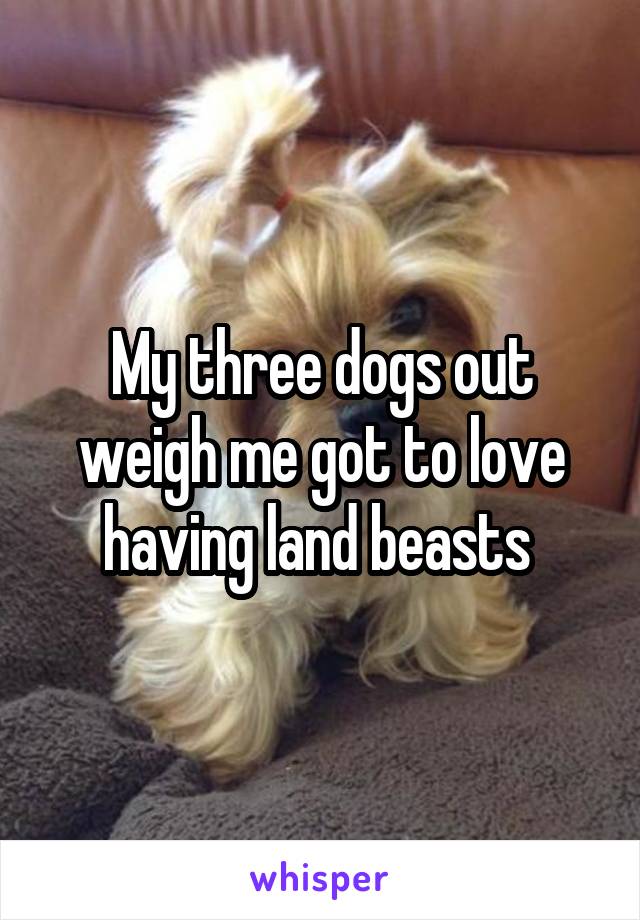 My three dogs out weigh me got to love having land beasts 