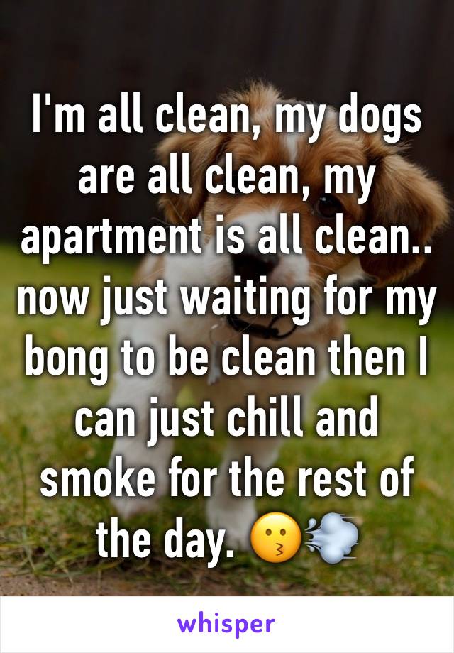 I'm all clean, my dogs are all clean, my apartment is all clean.. now just waiting for my bong to be clean then I can just chill and smoke for the rest of the day. 😗💨