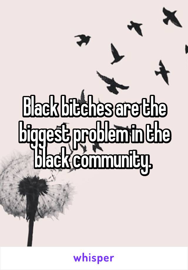 Black bitches are the biggest problem in the black community. 