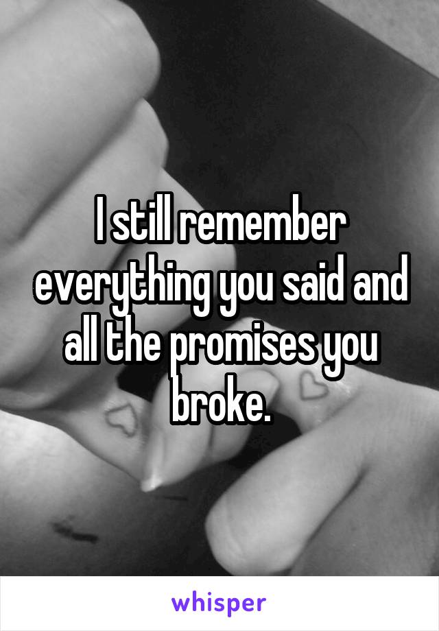 I still remember everything you said and all the promises you broke.