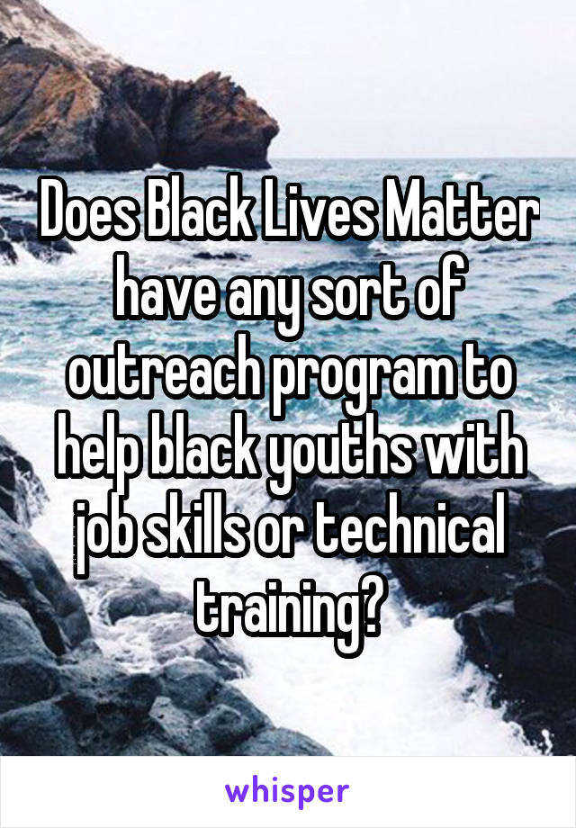 Does Black Lives Matter have any sort of outreach program to help black youths with job skills or technical training?