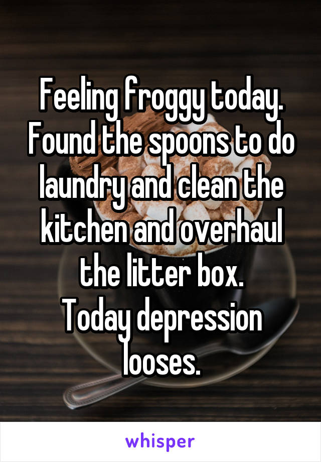 Feeling froggy today.
Found the spoons to do laundry and clean the kitchen and overhaul the litter box.
Today depression looses.