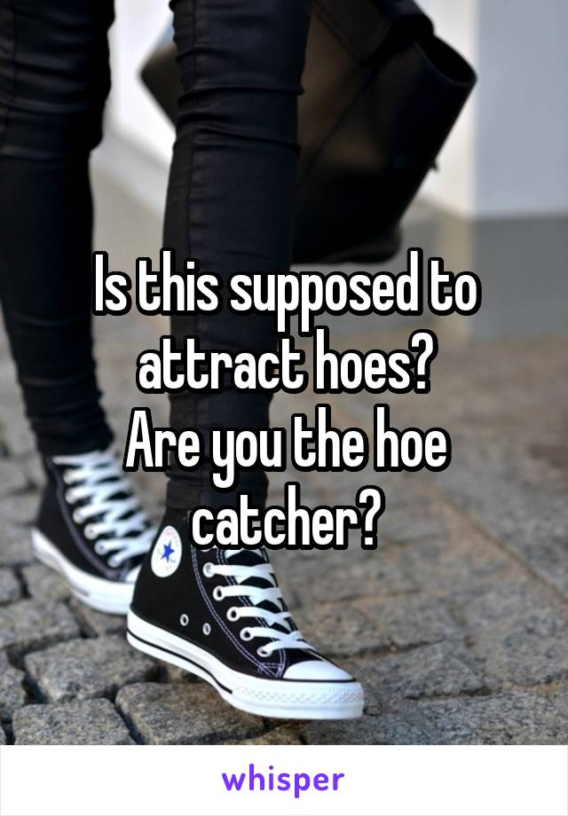 Is this supposed to attract hoes?
Are you the hoe catcher?