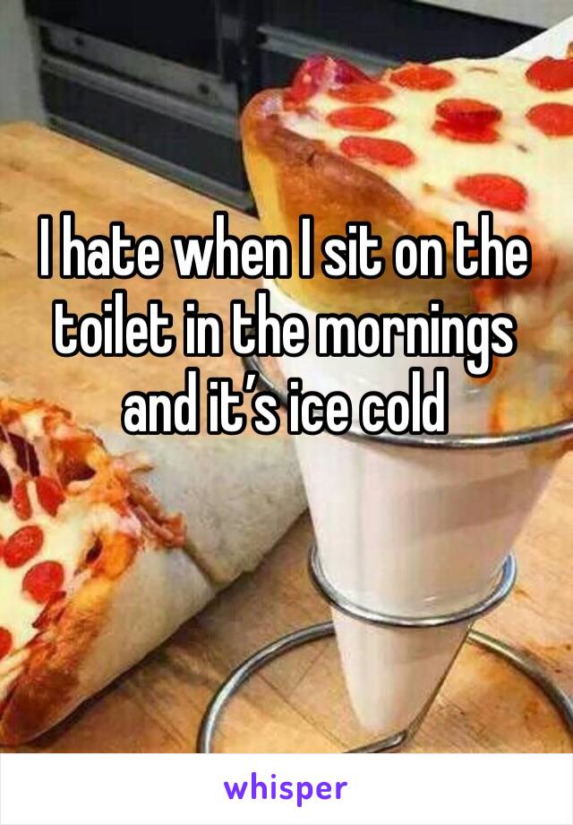 I hate when I sit on the toilet in the mornings and it’s ice cold 