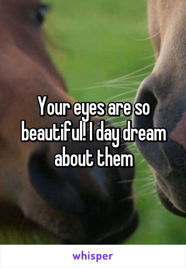 Your eyes are so beautiful! I day dream about them