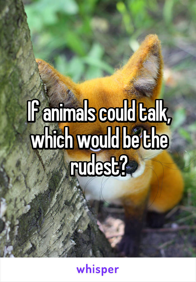 If animals could talk, which would be the rudest?