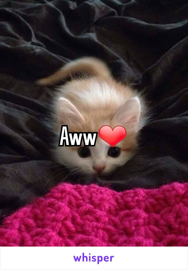 Aww❤