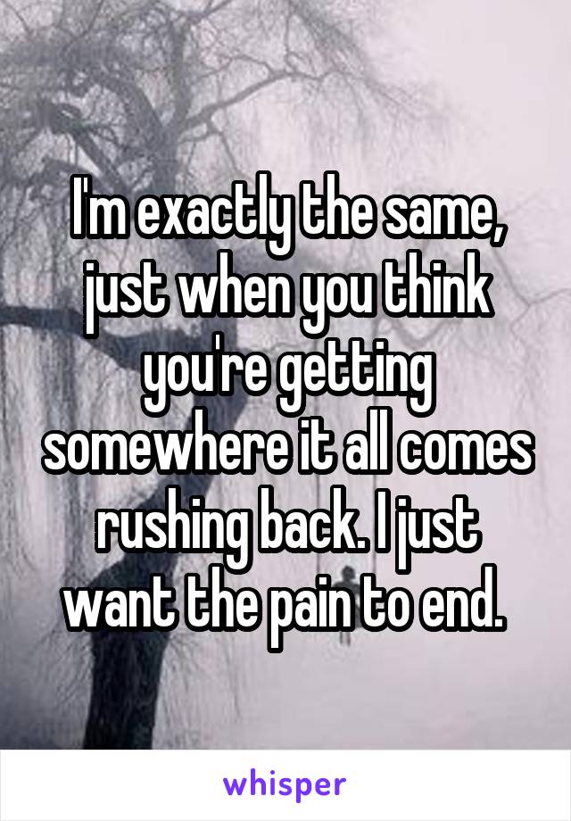 I'm exactly the same, just when you think you're getting somewhere it all comes rushing back. I just want the pain to end. 