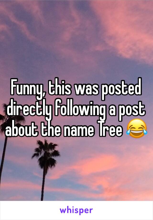 Funny, this was posted directly following a post about the name Tree 😂