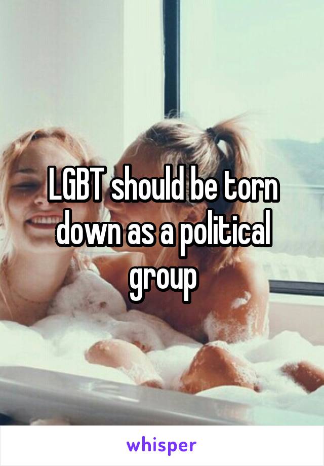 LGBT should be torn down as a political group