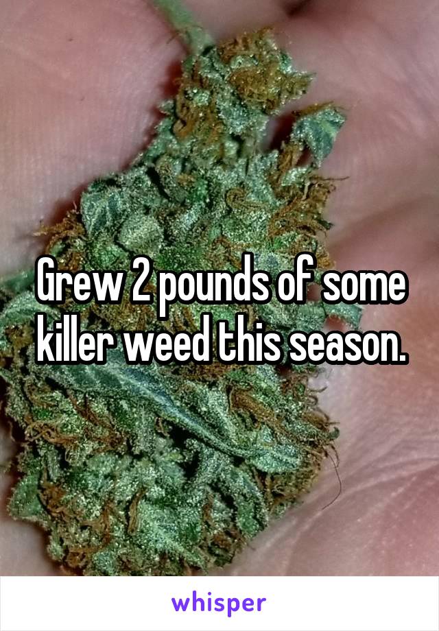 Grew 2 pounds of some killer weed this season.