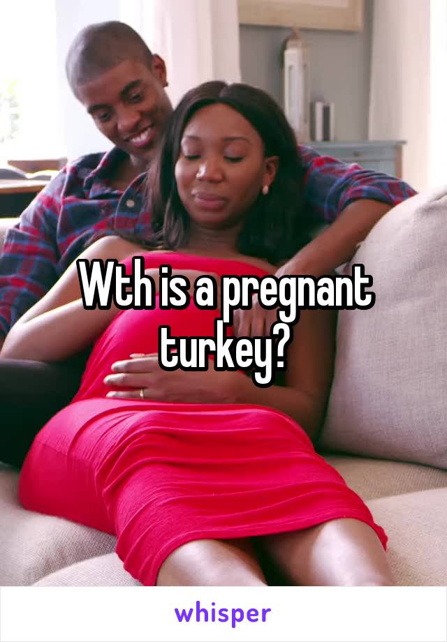 Wth is a pregnant turkey?