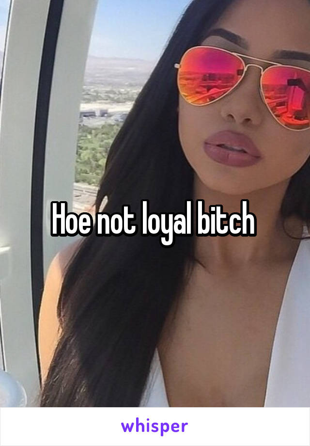 Hoe not loyal bitch 