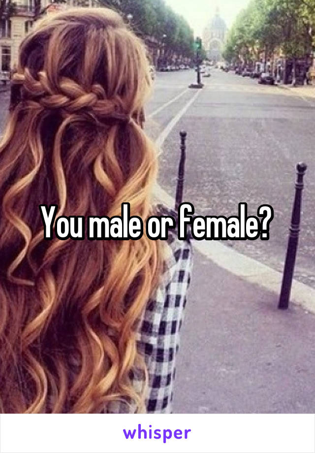 You male or female? 