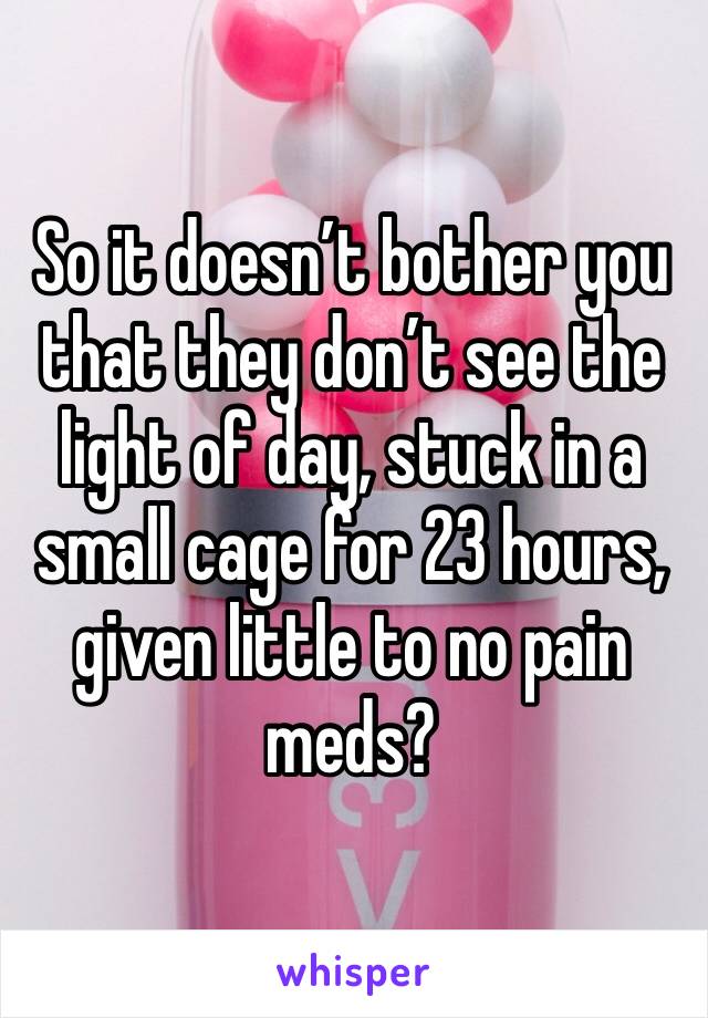 So it doesn’t bother you that they don’t see the light of day, stuck in a small cage for 23 hours, given little to no pain meds? 