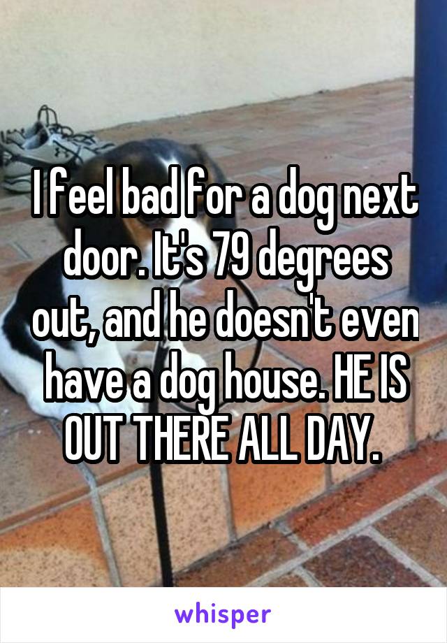 I feel bad for a dog next door. It's 79 degrees out, and he doesn't even have a dog house. HE IS OUT THERE ALL DAY. 