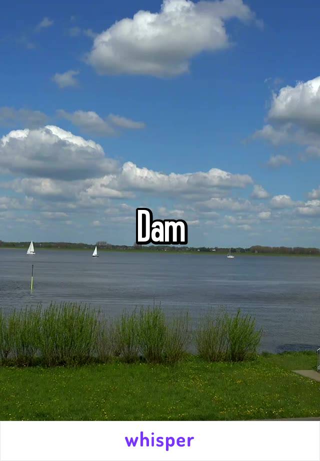 Dam