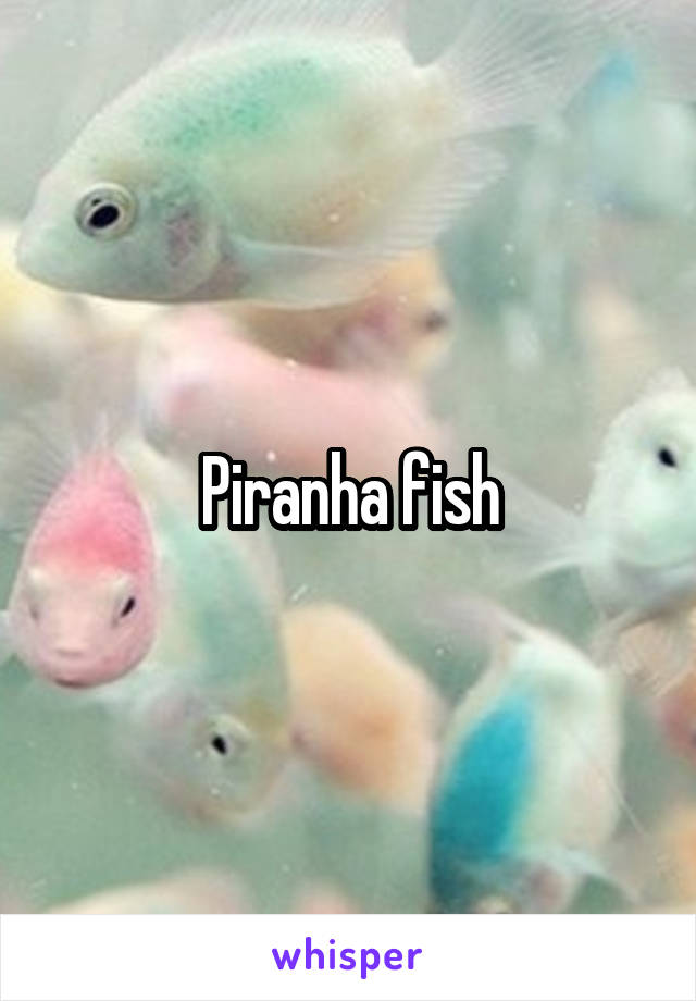 Piranha fish