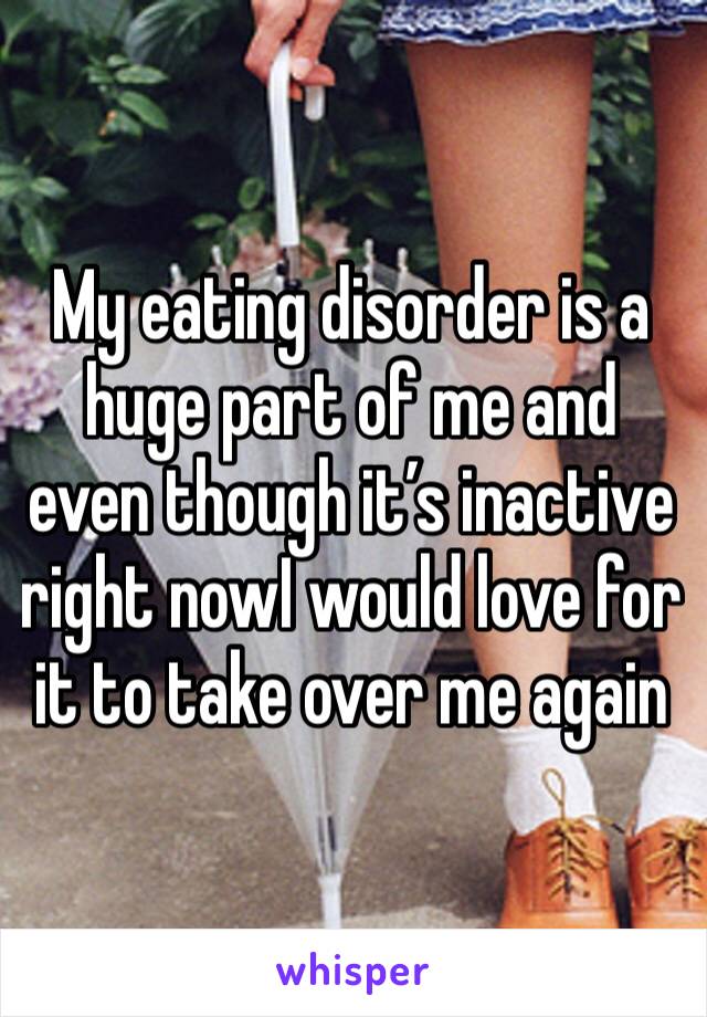 My eating disorder is a huge part of me and even though it’s inactive right nowI would love for it to take over me again