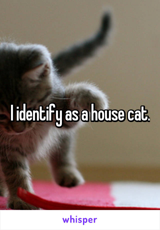 I identify as a house cat.