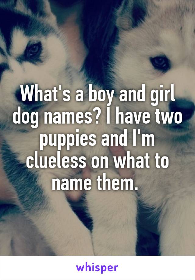 What's a boy and girl dog names? I have two puppies and I'm clueless on what to name them. 