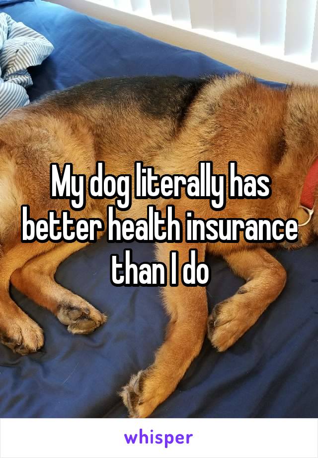 My dog literally has better health insurance than I do