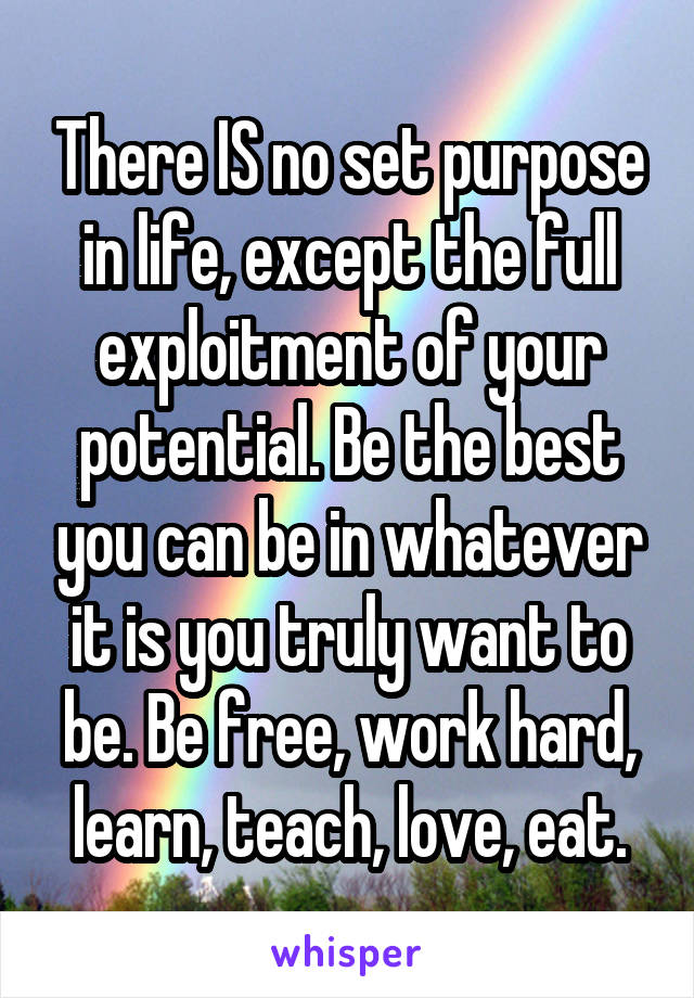 There IS no set purpose in life, except the full exploitment of your potential. Be the best you can be in whatever it is you truly want to be. Be free, work hard, learn, teach, love, eat.