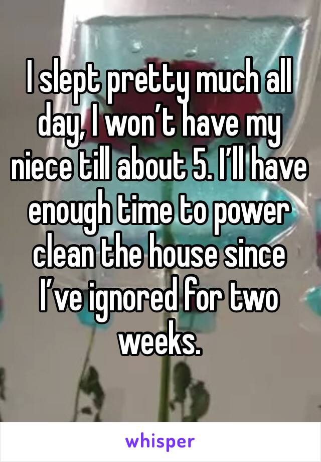 I slept pretty much all day, I won’t have my niece till about 5. I’ll have enough time to power clean the house since I’ve ignored for two weeks. 