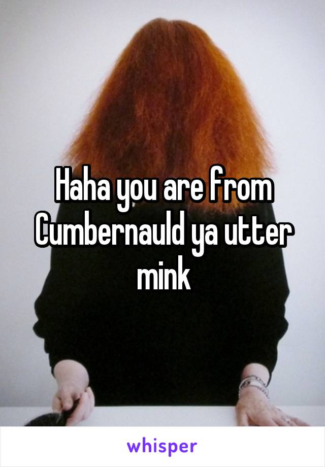 Haha you are from Cumbernauld ya utter mink