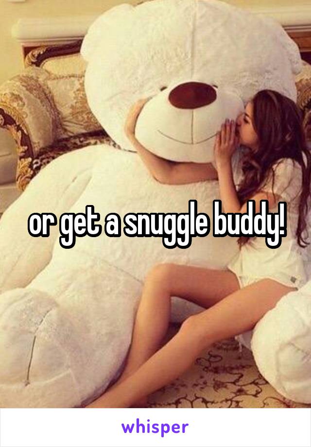 or get a snuggle buddy!