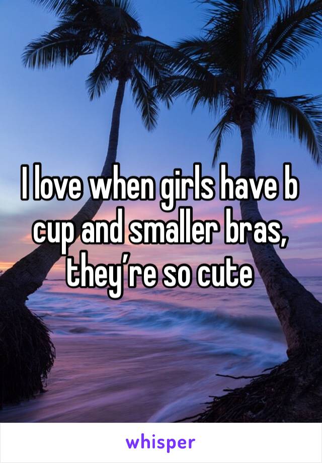 I love when girls have b cup and smaller bras,  they’re so cute