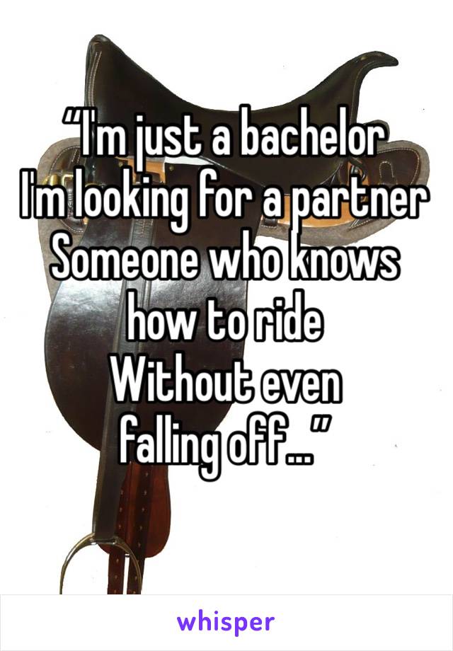 “I'm just a bachelor
I'm looking for a partner
Someone who knows how to ride
Without even falling off...”
