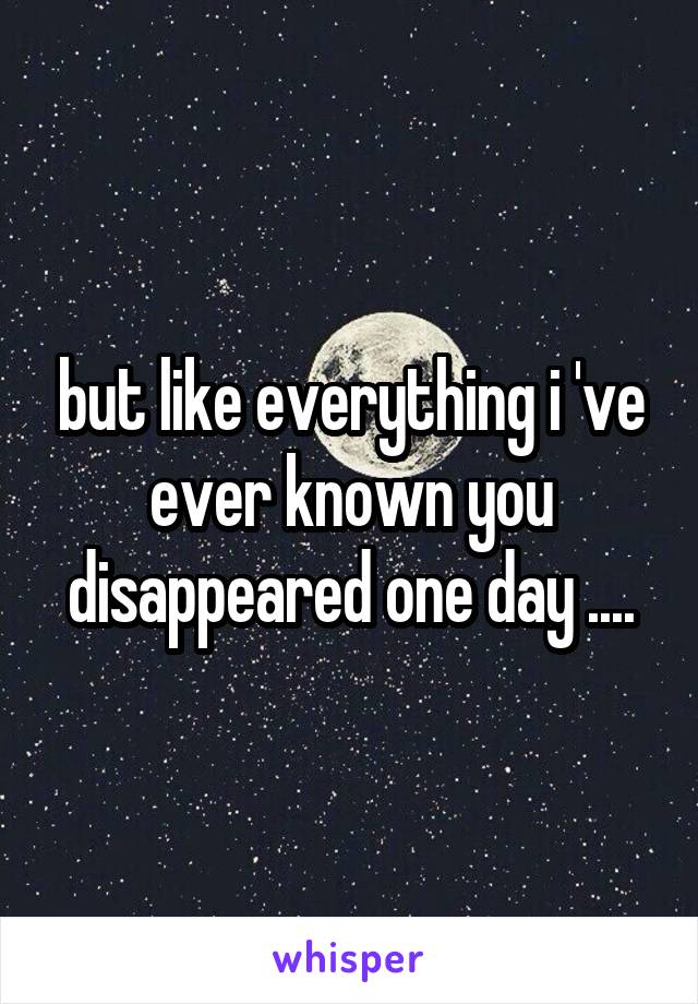 but like everything i 've ever known you disappeared one day ....